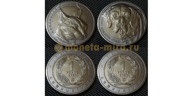 Набор из 2 монет Турции 1 куруш 2021 г.. Фауна Турции